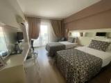 Standard Double room with balcony and with garden view
