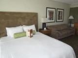 Double Junior Suite with ocean view