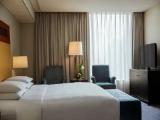 1 Bedroom Double Suite with city view