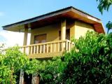 Economy Double room with garden view
