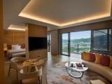 Premium Suite
