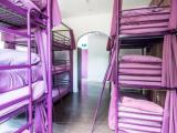 Bed in Dorm