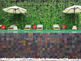 Premium Single Villa