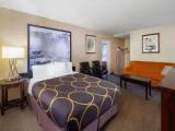 2 Bedrooms Quadruple Family Suite