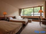 Standard Twin room with mountain view