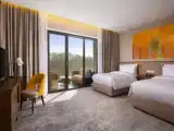 Deluxe Twin room with mountain view