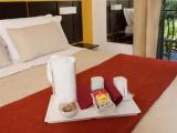 Superior Double room with garden view