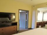 1 Bedroom Double Suite