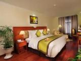 Single Suite