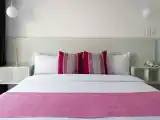 Standard Single Junior Suite