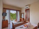 Deluxe Double room with view