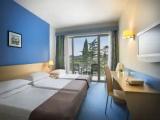 Standard Triple room with balcony and with park view