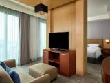 1 Bedroom Premier Suite with view