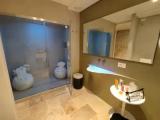 Deluxe Double Suite with balcony and oceanfront