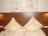 Standard Double room with garden view