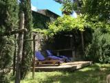 Standard Double room with garden view
