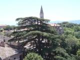 Standard Double room with view