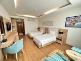Superior Double room with view