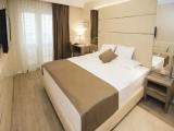 Standard Double room with balcony and with park view