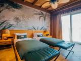 Deluxe Double room with land view