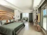 Terrace Deluxe room