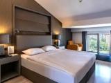 Double Attic room