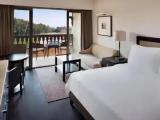 Deluxe Executive Lounge Access Double room with garden view
