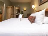1 Bedroom Deluxe Double room