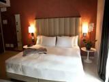 Standard room with mountain view
