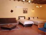 Standard Double room with garden view