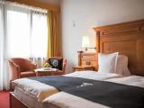 Standard Double room with mountain view