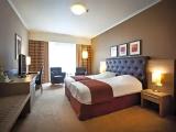 Deluxe Double Suite