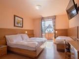 Standard Triple room with balcony and with mountain view