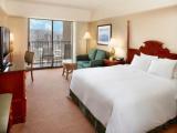 Accessible Double room Resort View