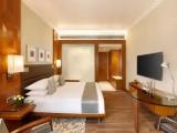 Hyatt Double room