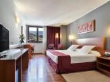 Standard Single room with mountain view