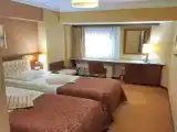 Standard Triple room with view