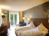 Standard Double room with river view