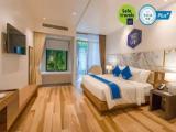 Premier Double room with garden view