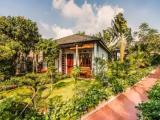 Double Bungalow with balcony and with pool view