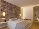 Standard Double room with pool view