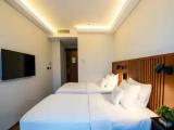 Classic Double room with city view