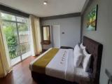 Deluxe Double room with balcony and with mountain view