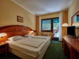 Standard Double room with park view