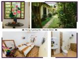 Economy Quadruple room with garden view