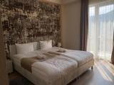 Standard Double room with mountain view