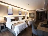 Premier Triple room