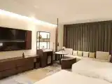 Deluxe Double Family room with city view