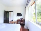 Deluxe Triple room with view
