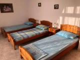 Bed in Dorm